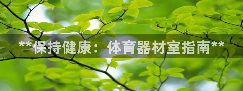 星乐娱乐：**保持健康：体育器材室指南**