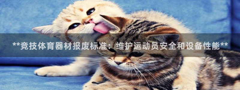 星欧娱乐平台怎么样啊：**竞技体育器材报废标准：维护