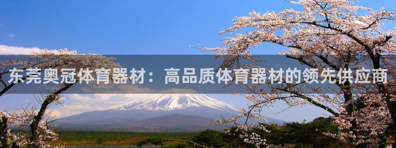 星欧娱乐热最建议去的三个地方：东莞奥冠体育器材：高品