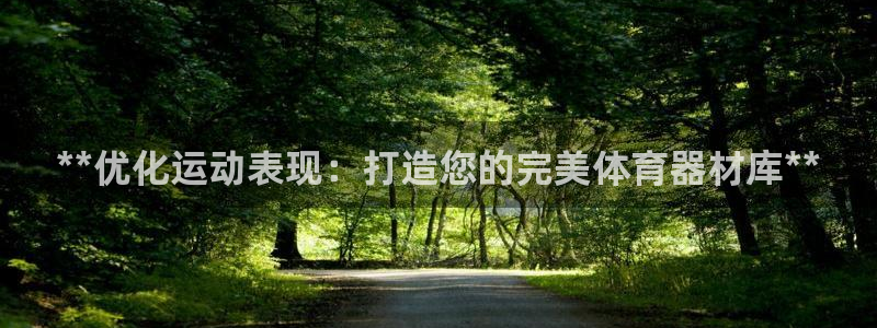 星奥娱乐怎么样：**优化运动表现：打造您的完美体育器