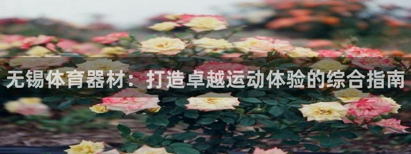星欧娱乐工711.11是正规的吗：无锡体育器材：打造