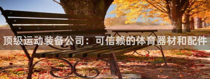 星欧娱乐公司：顶级运动装备公司：可信赖的体育器材和配