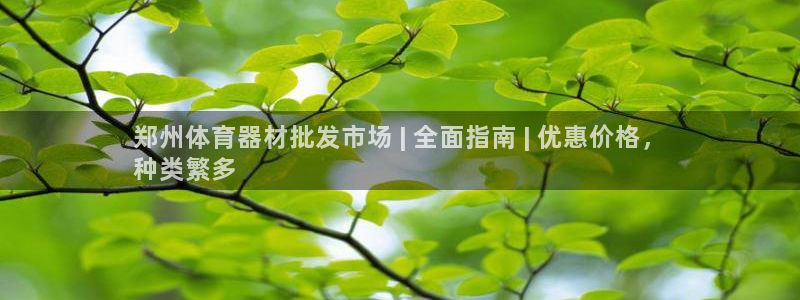 星娱乐文化传媒有限公司：郑州体育器材批发市场 | 全