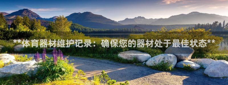星欧娱乐巴711.112扣费记录查询方法：**体育器