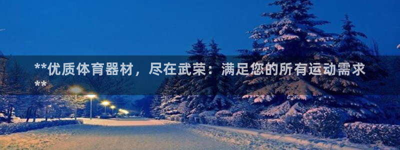星欧娱乐属于什么档次的软件公司：**优质体育器材，尽