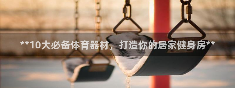 星欧娱乐是什么品牌：**10大必备体育器材，打造你的