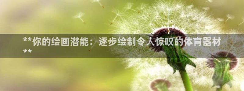 星欧娱乐载711.112使用教程详解：**你的绘画潜