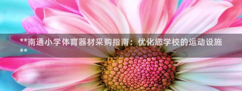 星欧娱乐是正规平台吗安全吗可靠吗：**南通小学体育器
