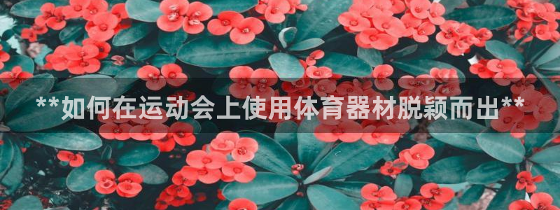 星欧娱乐v8.0.3最新版本更新内容介绍：**如何在