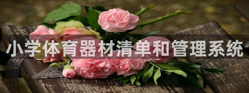星欧娱乐公司：小学体育器材清单和管理系统