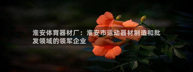 星娱乐彩票网：淮安体育器材厂：淮安市运动器材制造和批