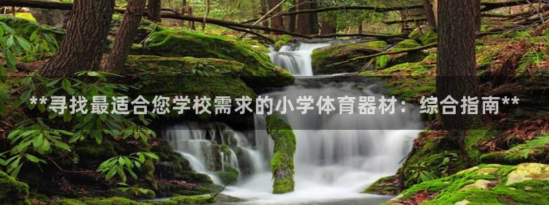 星欧娱乐扣款流程详解视频：**寻找最适合您学校需求的