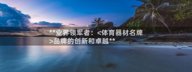 星奥娱乐集团怎么样：**业界领军者：<体育器材名牌
