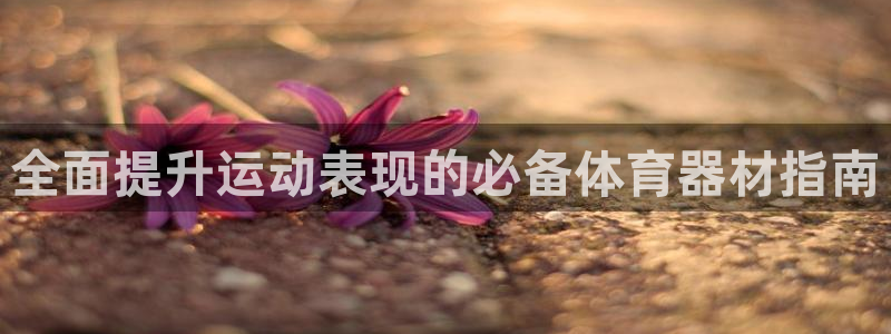 星欧娱乐是正规平台吗知乎推荐：全面提升运动表现的必备