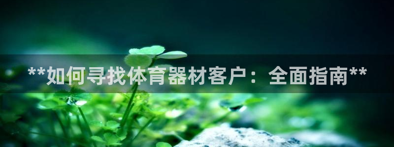 星欧娱乐公司创始人背景故事：**如何寻找体育器材客户