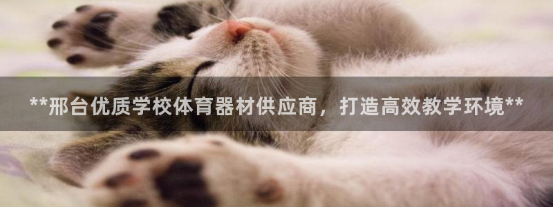 星欧娱乐还能玩吗：**邢台优质学校体育器材供应商，打