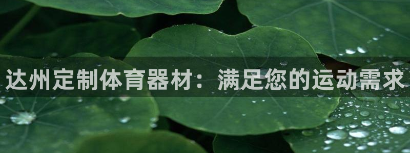 星娱乐包月是干嘛的：达州定制体育器材：满足您的运动需