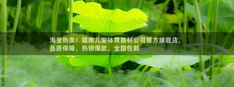 星欧娱乐扣款时间查询方法怎么查