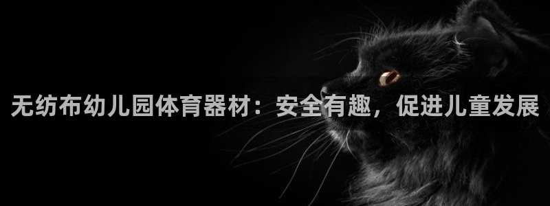 星奥娱乐集团股份有限公司怎么样：无纺布幼儿园体育器材