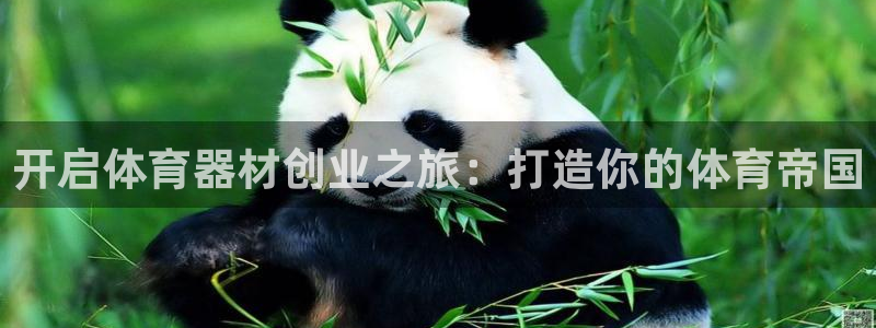 星欧娱乐平台怎么样啊：开启体育器材创业之旅：打造你的