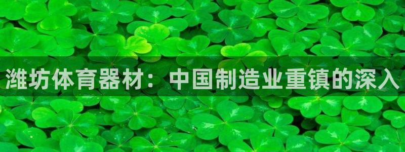星欧娱乐扣款流程详解图：潍坊体育器材：中国制造业重镇