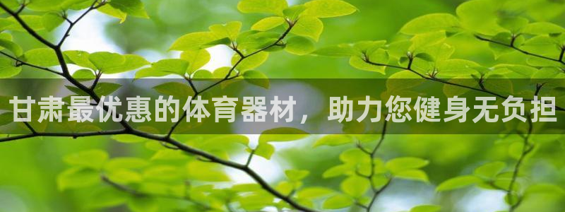 星欧娱乐平台：甘肃最优惠的体育器材，助力您健身无负担