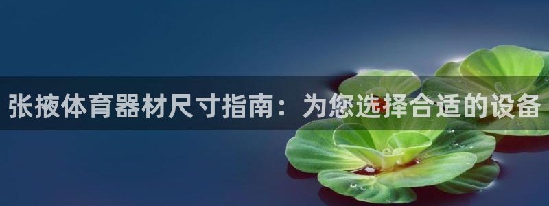 星欧娱乐会员优惠活动：张掖体育器材尺寸指南：为您选择
