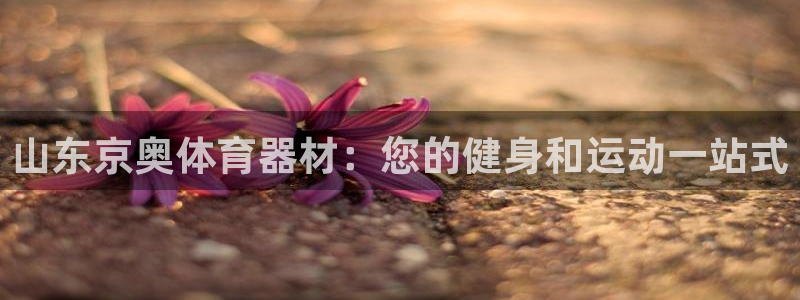 星奥娱乐艺人