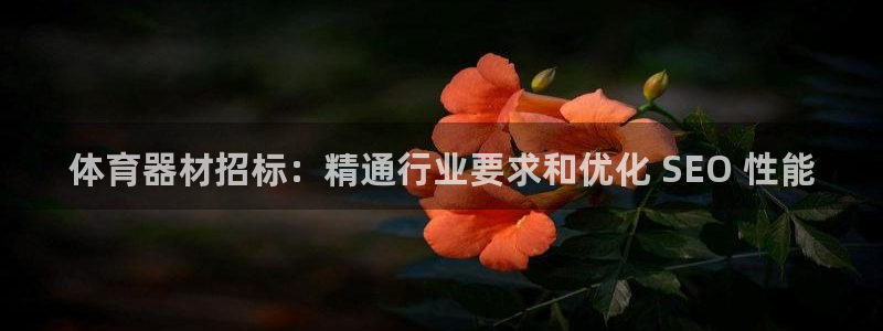 星欧娱乐挂机赚钱软件：体育器材招标：精通行业要求和优