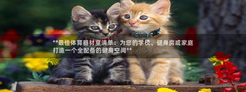 星欧娱乐伐官网注册：**最佳体育器材室清单：为您的学
