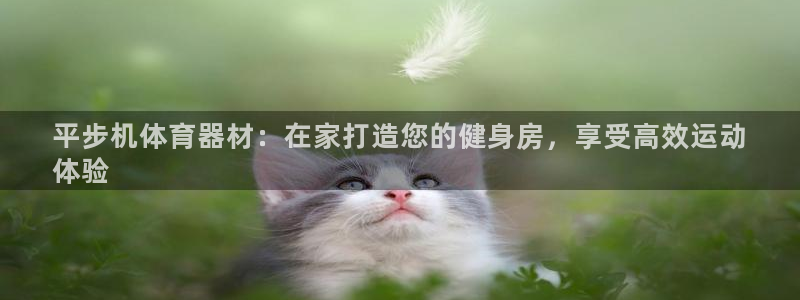 星娱乐online