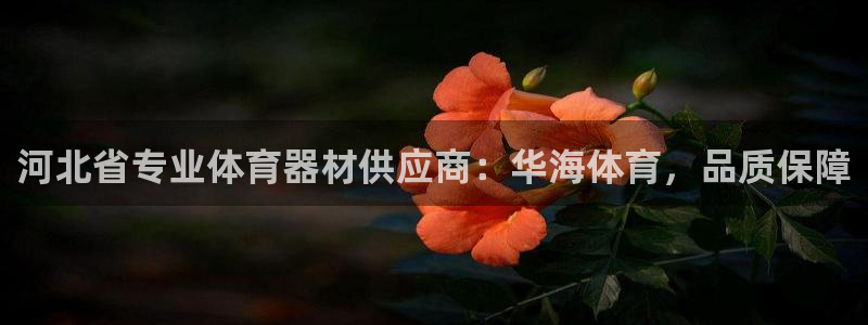 星欧娱乐最建议买的三个游戏
