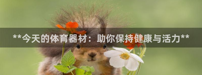 星娱乐是谁的公司：**今天的体育器材：助你保持健康与