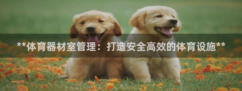 星欧娱乐是正规平台吗知乎推荐：**体育器材室管理：打