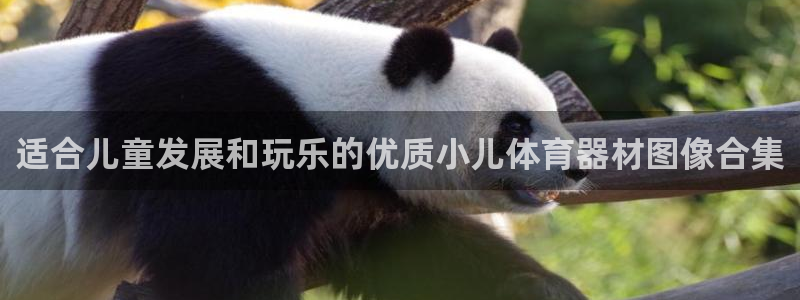 星欧娱乐官网：适合儿童发展和玩乐的优质小儿体育器材图