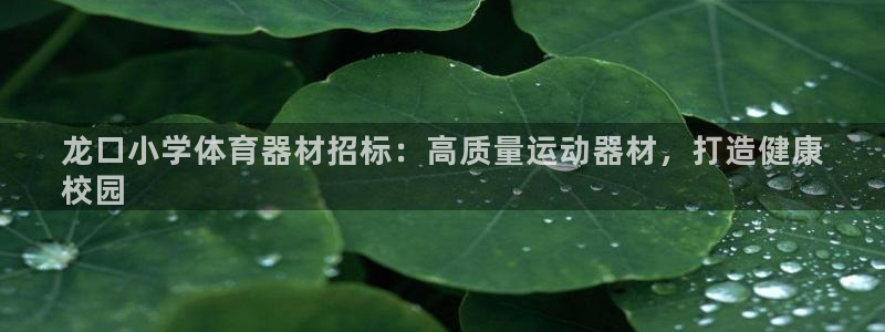 星欧娱乐扣款流程详解视频下载：龙口小学体育器材招标：