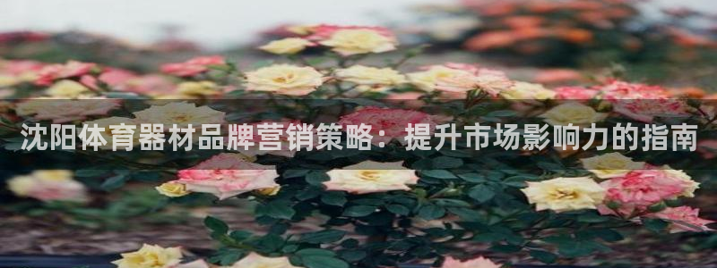 星欧娱乐挂机赚钱软件：沈阳体育器材品牌营销策略：提升