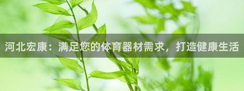 江苏星奥娱乐有限公司怎么样：河北宏康：满足您的体育器
