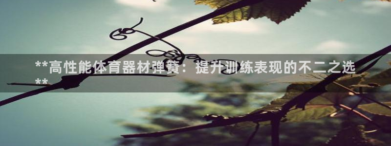 星欧娱乐法711.112扣费如何处理：**高性能体育
