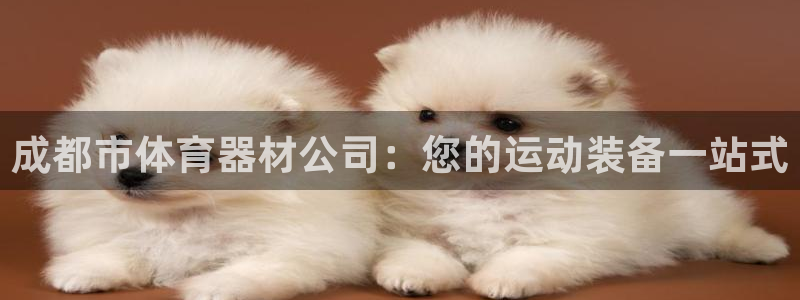 星欧娱乐是什么品牌：成都市体育器材公司：您的运动装备