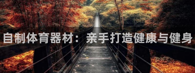 星奥盛典娱乐会所：自制体育器材：亲手打造健康与健身