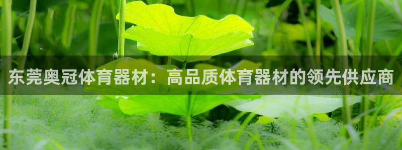 星奥娱乐怎么样：东莞奥冠体育器材：高品质体育器材的领