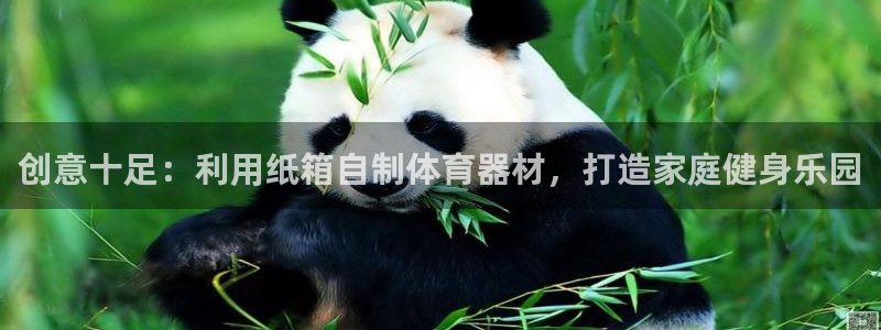星奥娱乐招聘：创意十足：利用纸箱自制体育器材，打造家