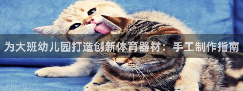星乐娱乐：为大班幼儿园打造创新体育器材：手工制作指南