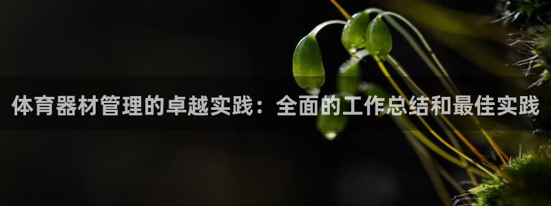 星奥娱乐集团股份有限公司招聘：体育器材管理的卓越实践