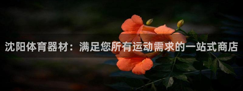 星娱乐online刘亦菲