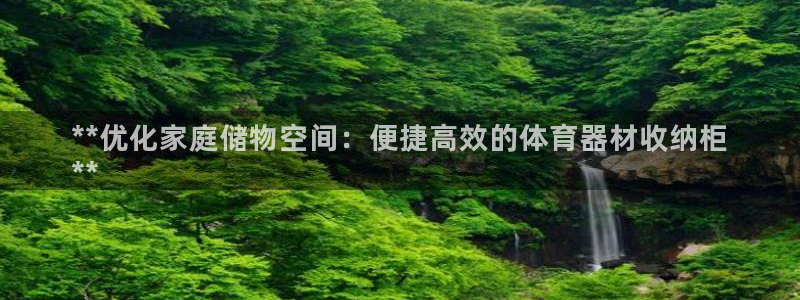 星娱乐online张译：**优化家庭储物空间：便捷高