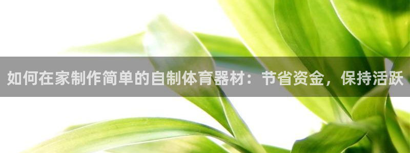 星欧娱乐的官方版本更新内容怎么删除：如何在家制作简单