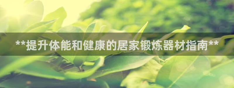 星欧娱乐最建议买的三个游戏：**提升体能和健康的居家