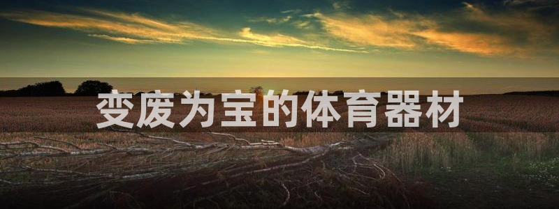 星欧娱乐扣款时间查询方法怎么查的：变废为宝的体育器材